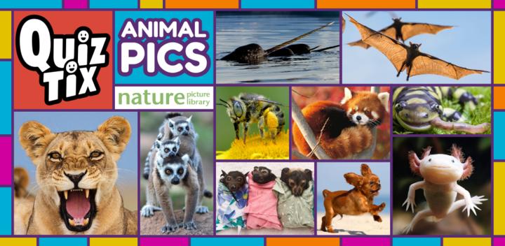 Banner of QuizTix: Animal Pics Trivia - Nature Image Library 2.00.31
