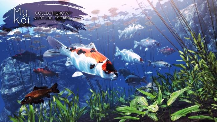 My Koi ゲームのスクリーンショット