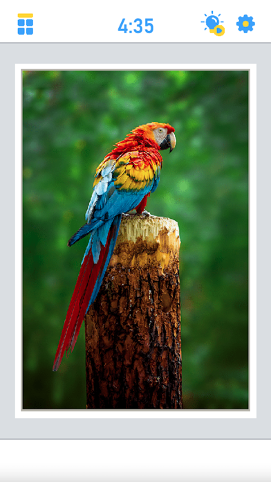 Antistress Jigsaw Puzzle ภาพหน้าจอเกม