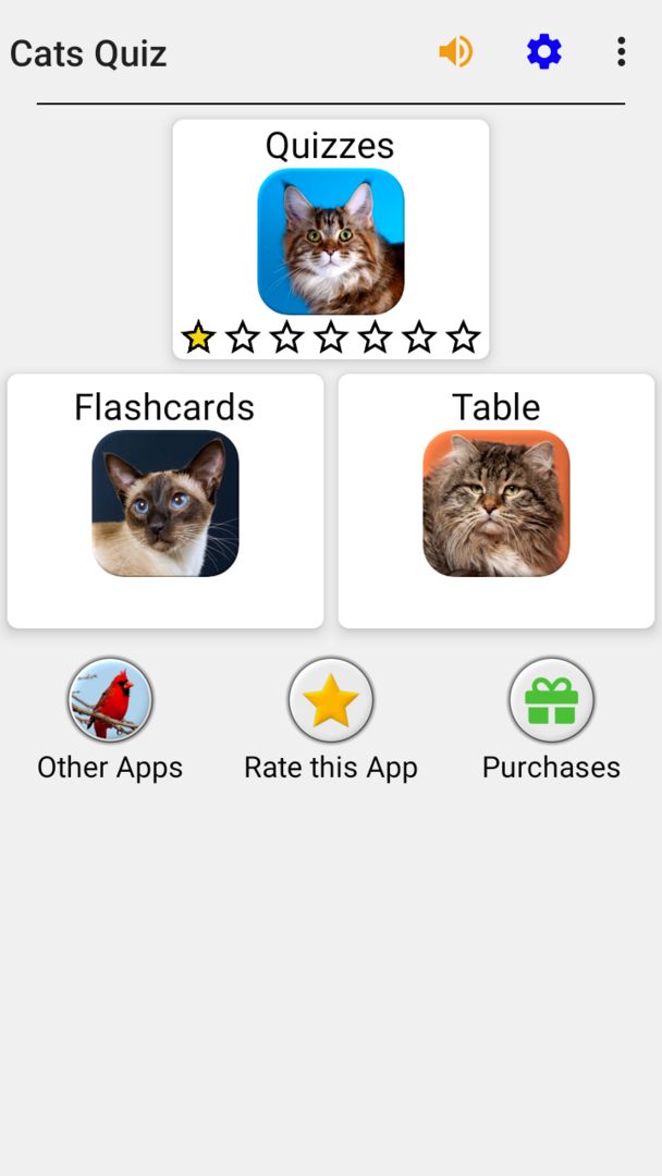 Cats Quiz Guess Popular Breeds screenshot game