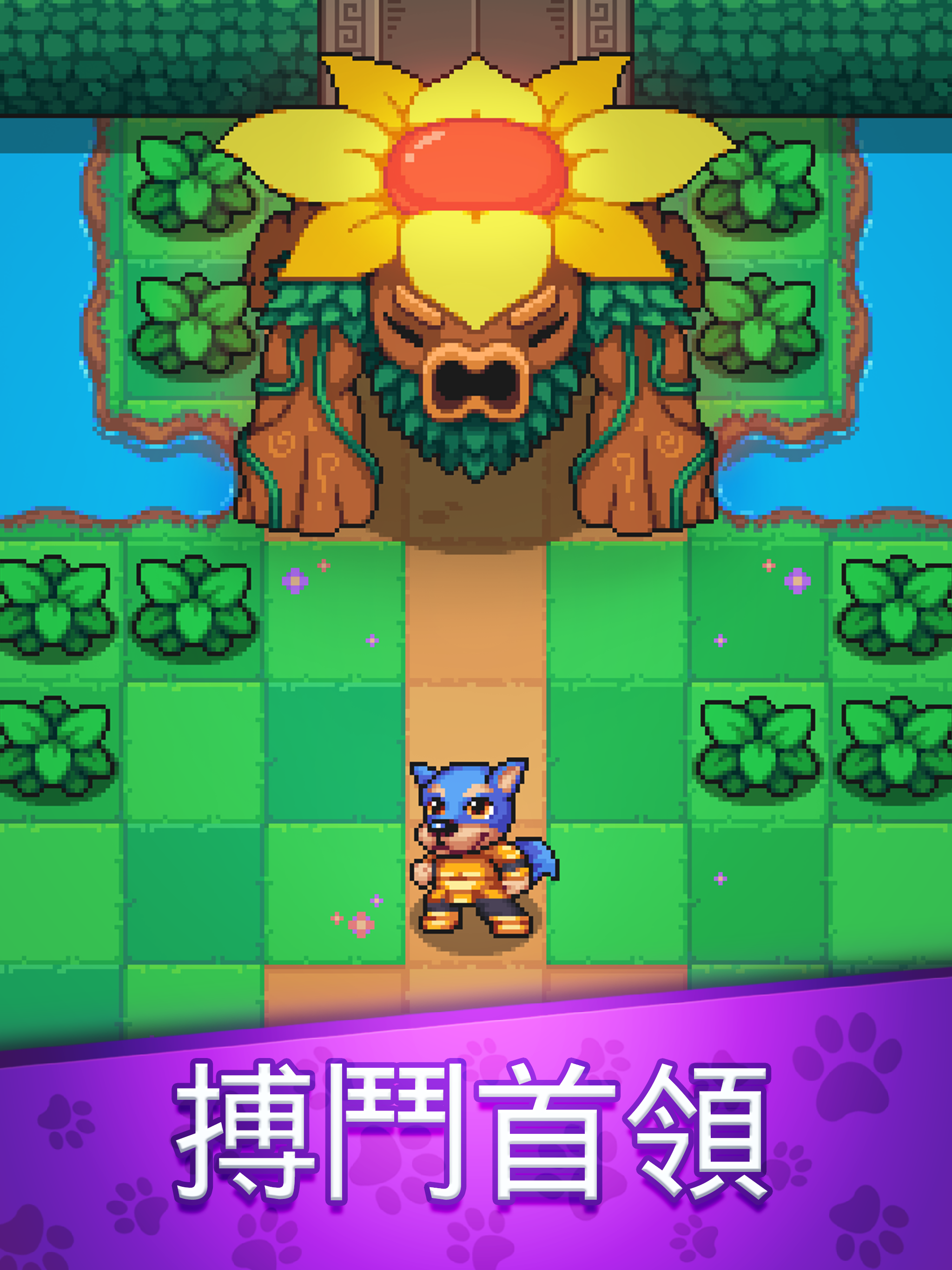 霍皮亞大冒險 遊戲截圖