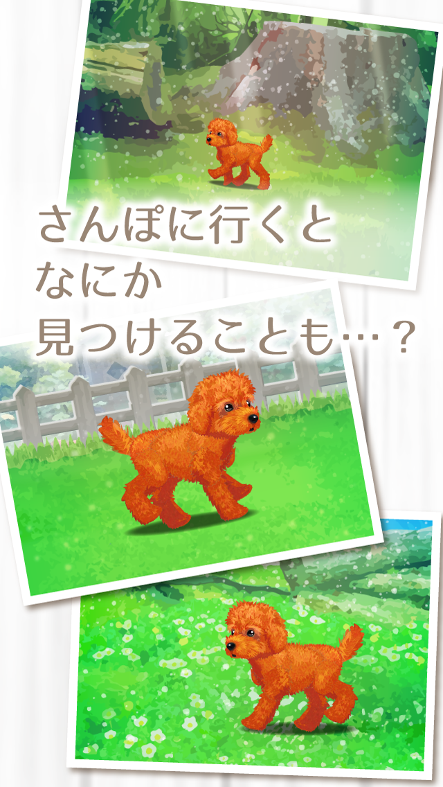 Cuplikan Layar Game 癒しの子犬育成ゲーム〜トイプードル編〜