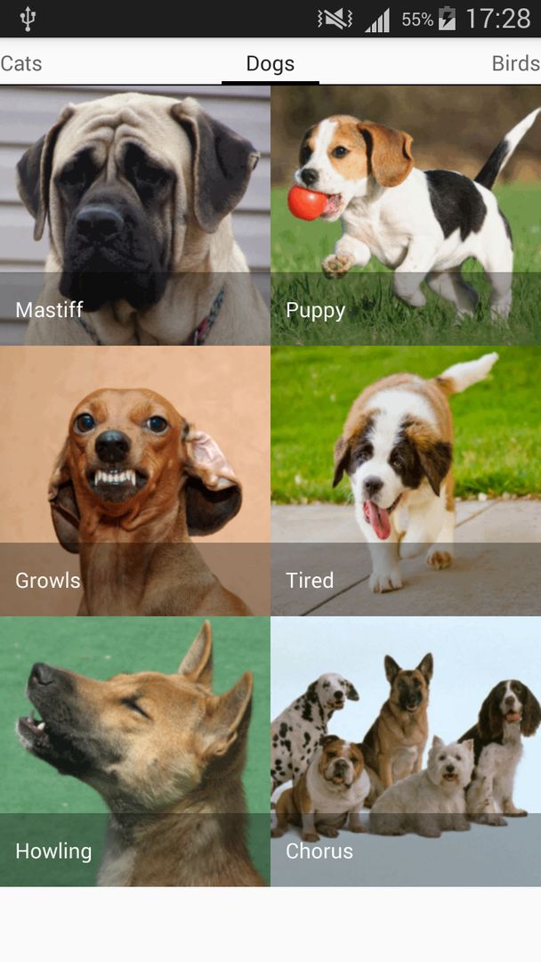 Screenshot of Animals sounds