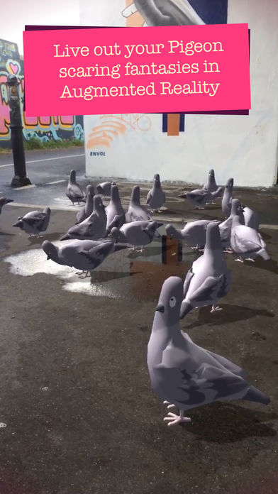 Pigeon Panic! AR遊戲截圖