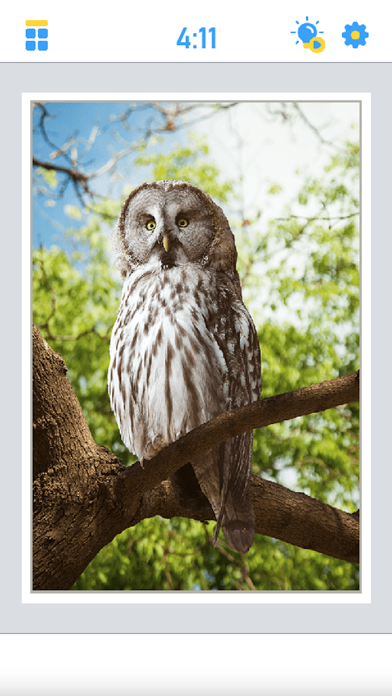 Antistress Jigsaw Puzzle ภาพหน้าจอเกม
