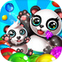 Panda Jungle Bubble Shooter