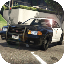 USA Car Driving Simulator 3d: Driver License