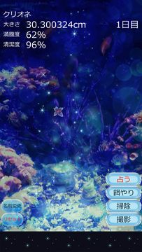 Clione Aquarium Free Game Screenshot