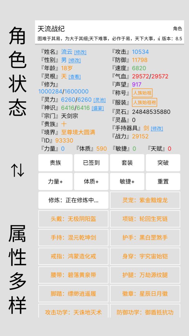 Screenshot of 天流战纪