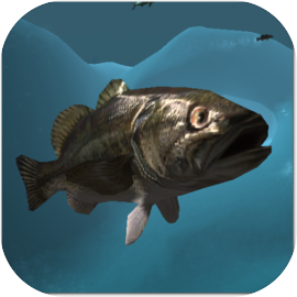 Fish And Grow Feeding Simulator