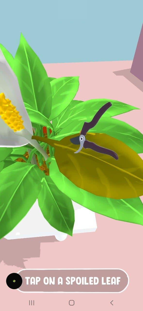 Captura de Tela do Jogo Plants Care