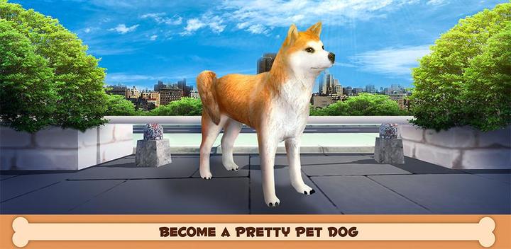 Banner of Mainkan Dengan Anjing Anda: Shiba Inu 1.2.0