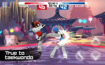 Taekwondo Game ゲームのスクリーンショット