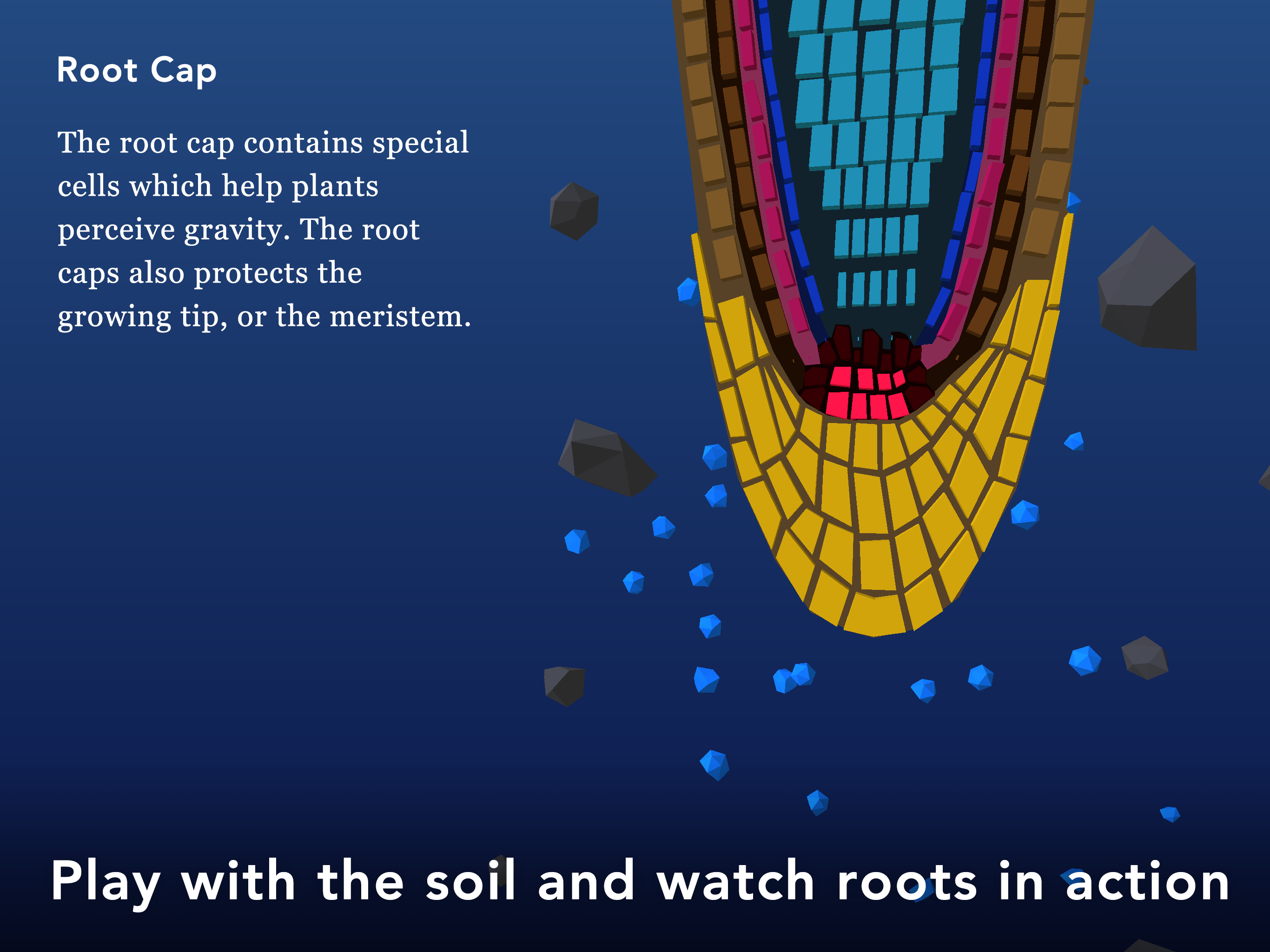 NAMOO - Wonders of Plant Life ภาพหน้าจอเกม