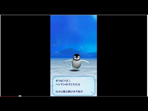 Flight Penguin 비디오 스크린샷