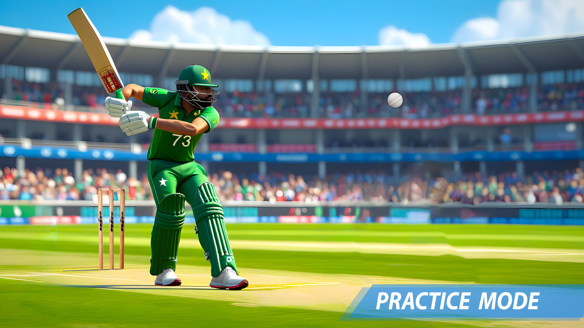 Cricket Games Real World Match Game Screenshot