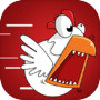 Chicken Slaughter