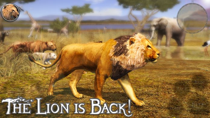 Screenshot of Ultimate Lion Simulator 2