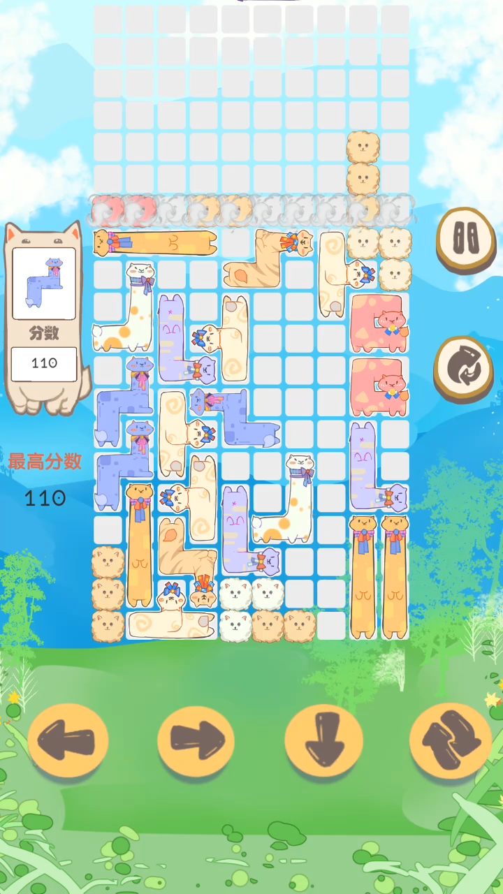 俄罗斯驼块 Game Screenshot