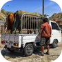 Animal Transport Truck Games