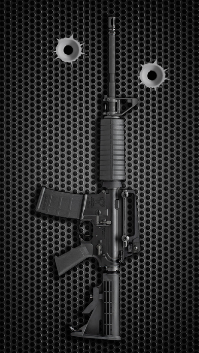 Screenshot of Armory Guns