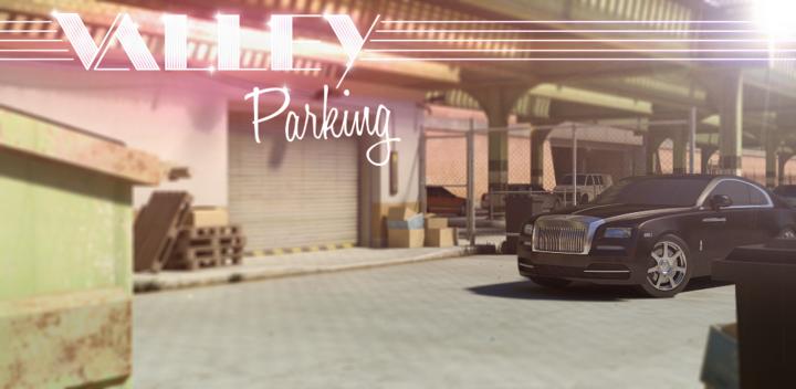 Banner of Valley Parking 3D 