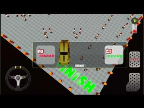 Screenshot of the video of Car Driver 1 (Parking)