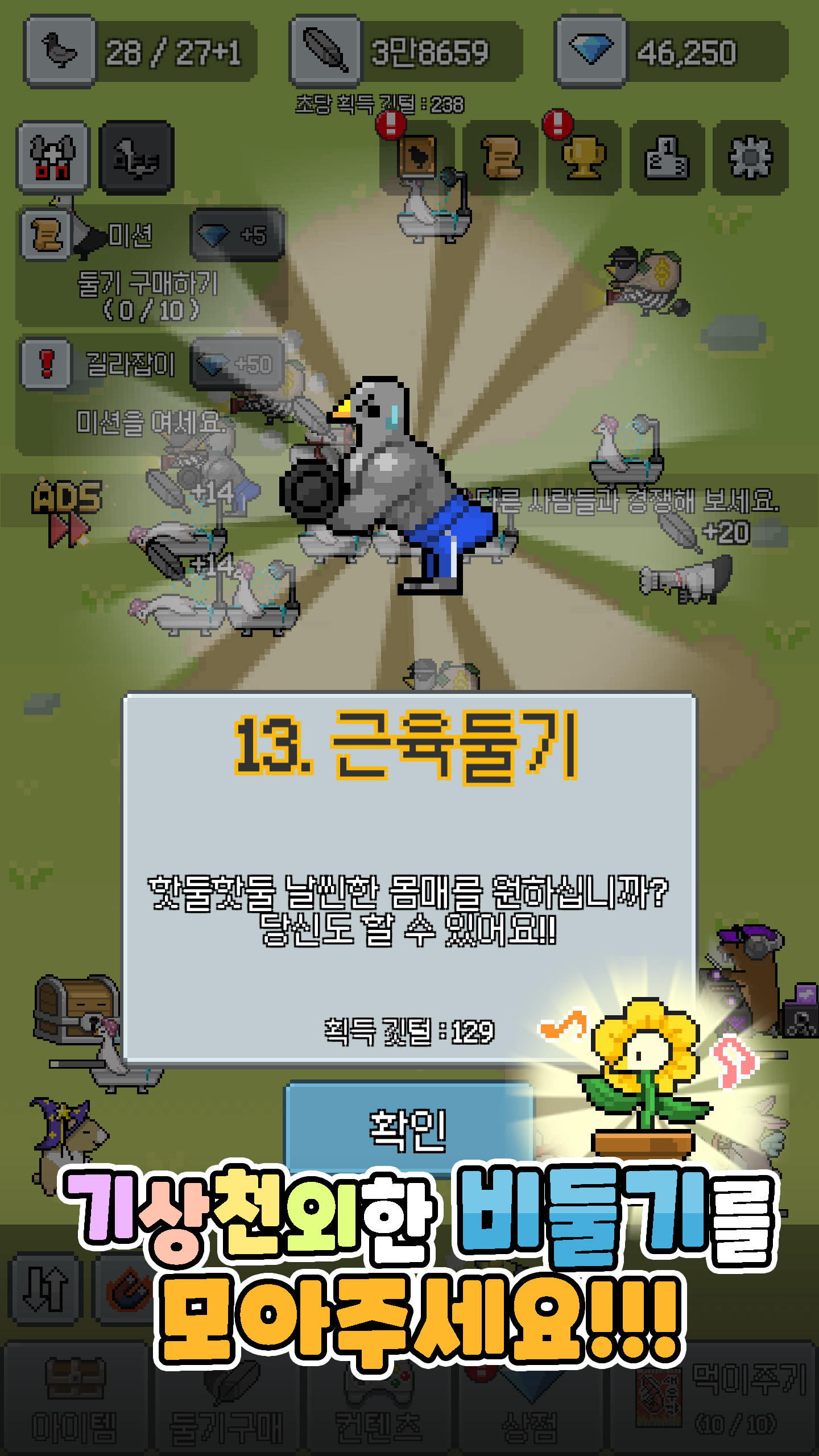 Captura de Tela do Jogo 비둘기키우기