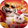 Bunny Push Adventure