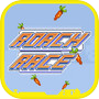 Icon of Roach Race