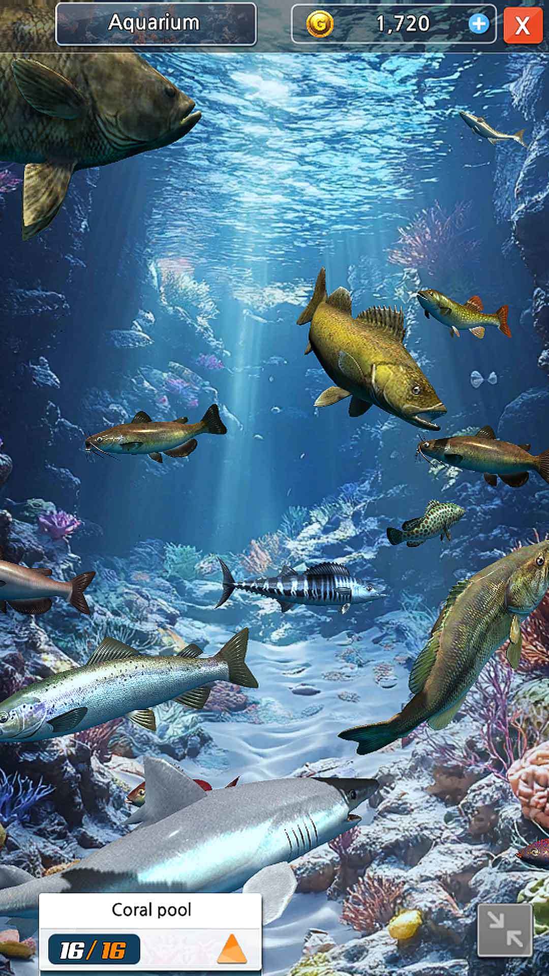 Ocean Fishing King Game Screenshot