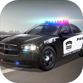 Police Car Chase