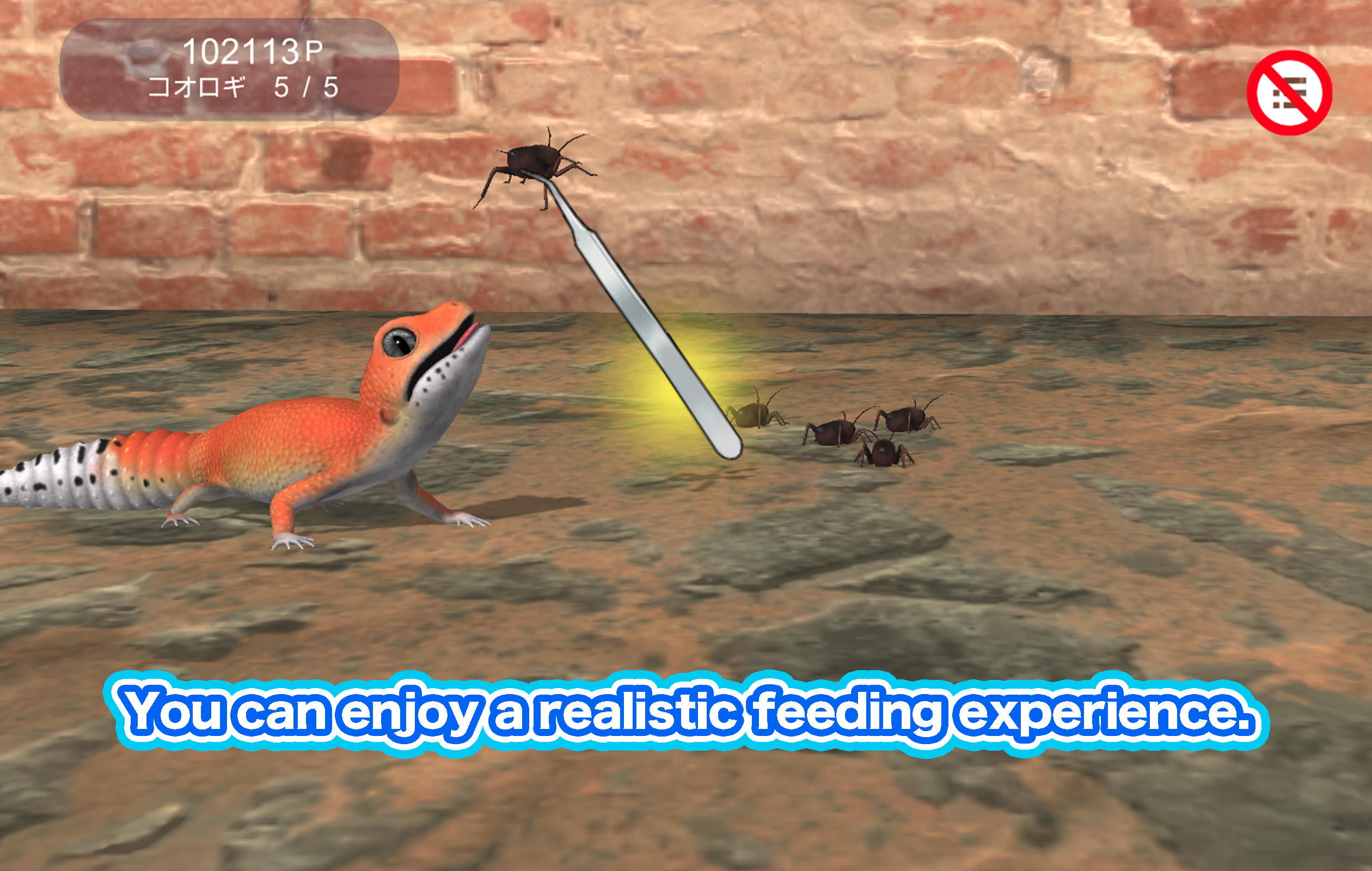 My leopard gecko Game Screenshot