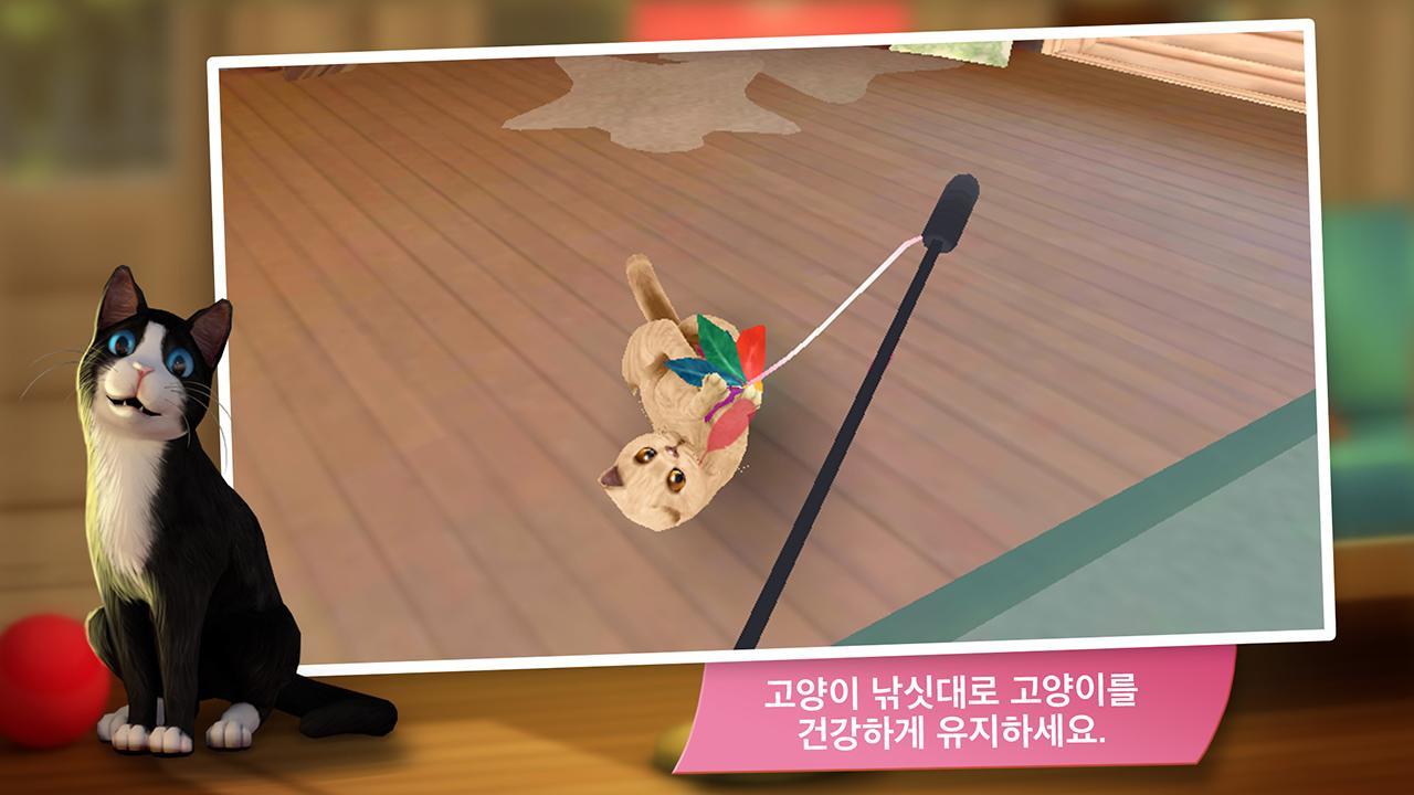 CatHotel - 귀여운 고양이가 있는 나만의 사육장 게임 스크린샷