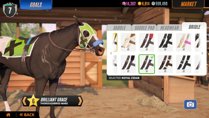 Rival Stars Horse Racing Game Screenshot
