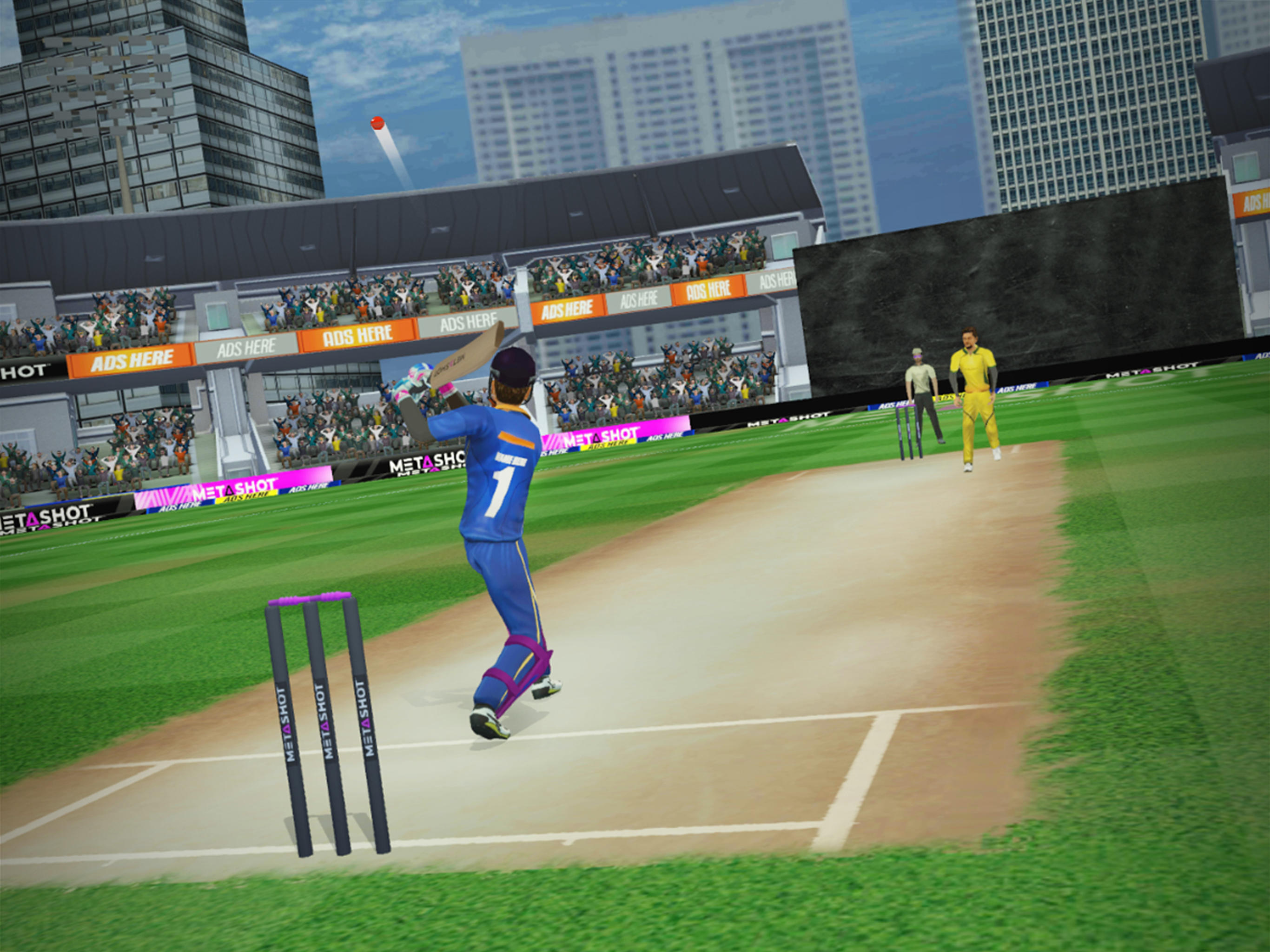 Screenshot of MetaShot Smart Cricket