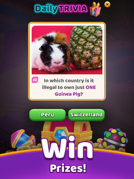 Puzzles & Passports 게임 스크린샷