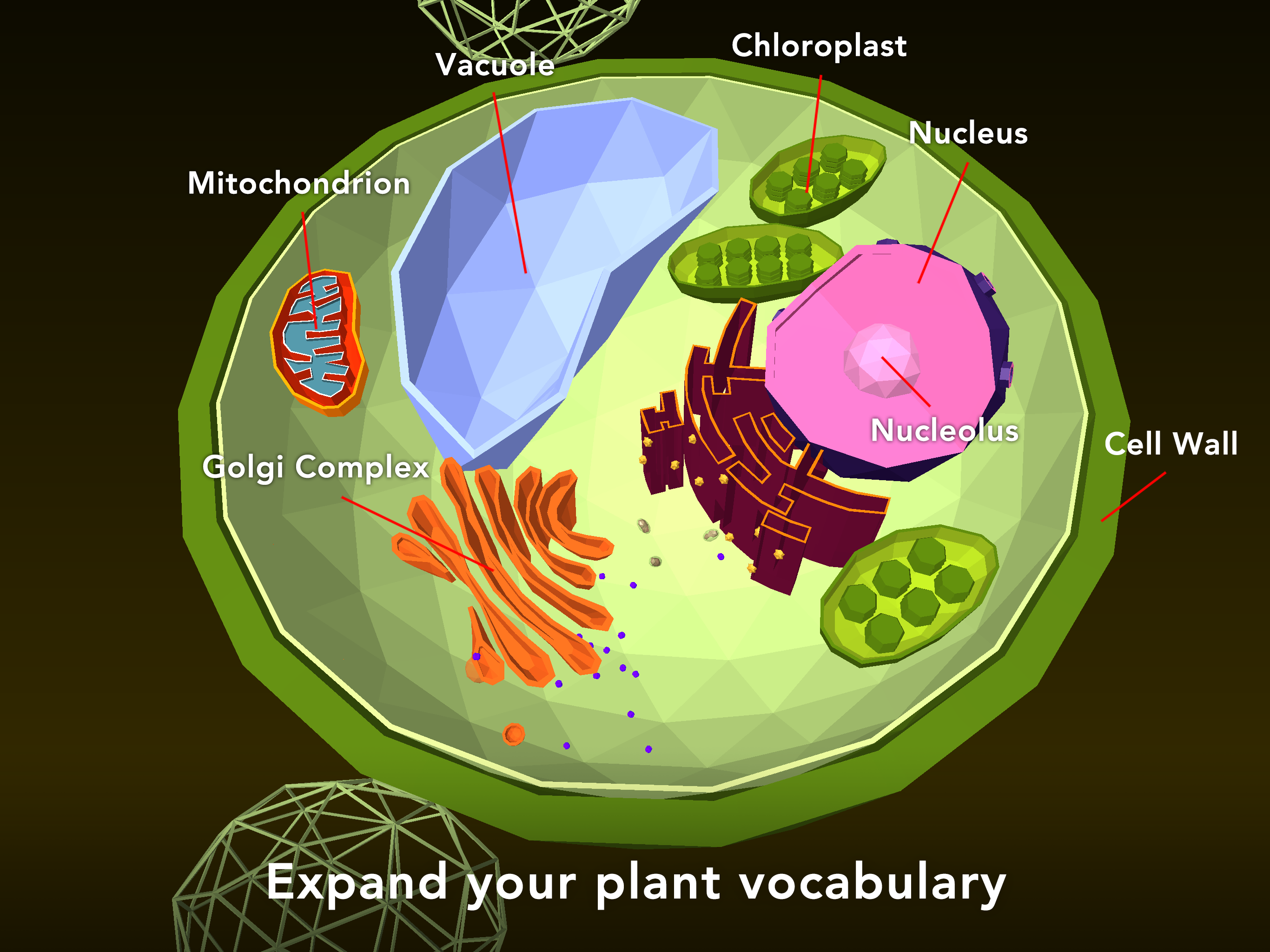 NAMOO - Wonders of Plant Life ภาพหน้าจอเกม