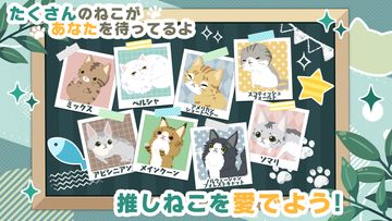 にゃんかつ ภาพหน้าจอเกม