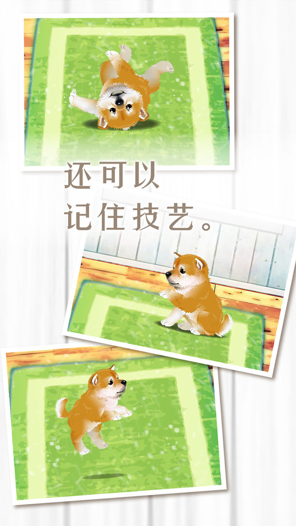 养育柴犬的治愈游戏 screenshot game