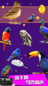 小星星-动物的叫声 ภาพหน้าจอเกม