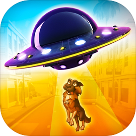 VAN DAMME : Dawn of Chihuahuas