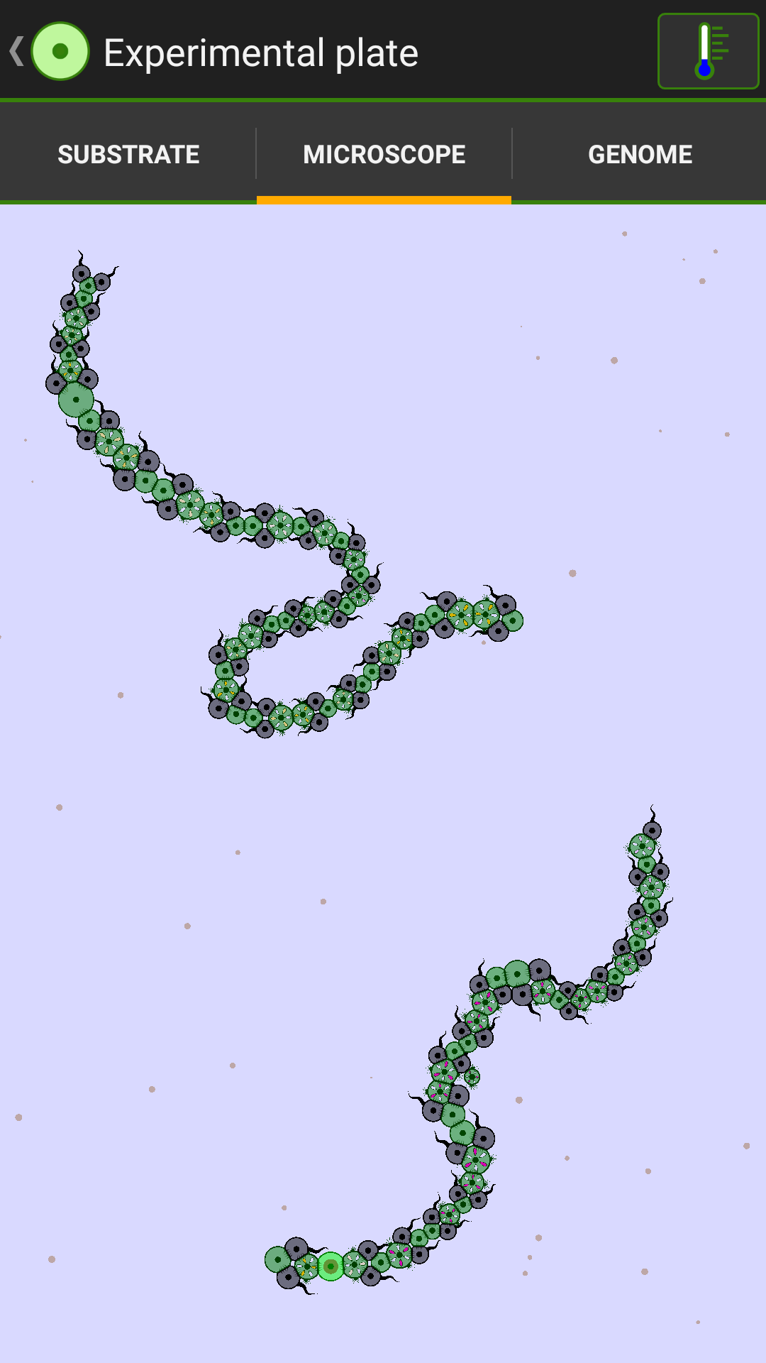 Cell Lab: Evolution Sandbox Game Screenshot