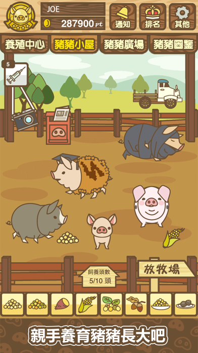 養豬場MIX Game Screenshot