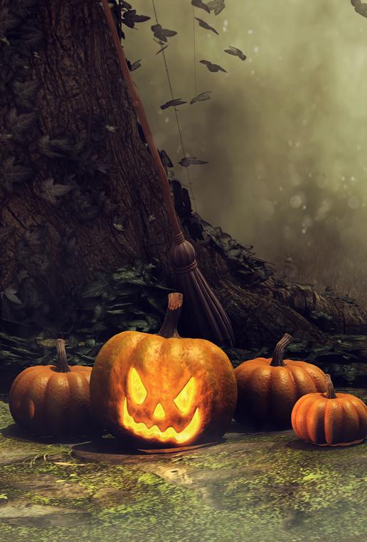 Forest Cemetery Escape 게임 스크린샷