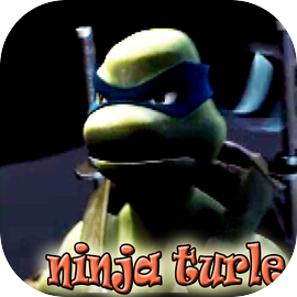 Ninja Turtle fighting Shredder