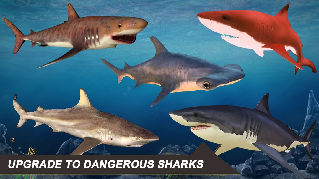Screenshot of Shark Attack Sim: Hunting Game