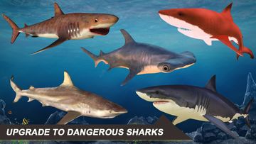 Shark Attack Sim: Hunting Game Game Screenshot