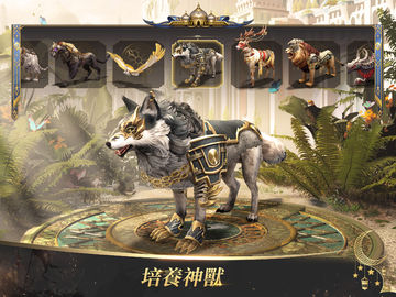 Days of Empire-英雄永不滅! 遊戲截圖