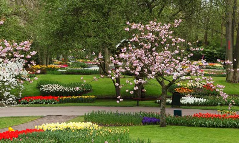 Screenshot of Beautiful Flower Garden Escape